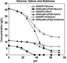 植生生態所纖維素丁醇制備技術研究取得新進展
