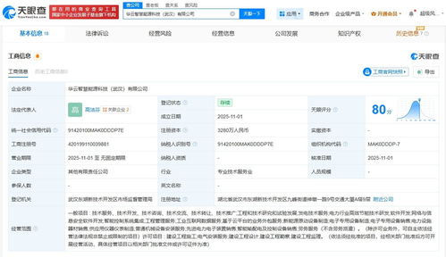 浩云科技等聯合在武漢成立能源科技公司，聚焦工程與技術研究試驗發展